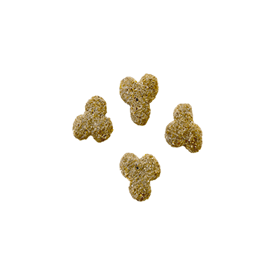 ROBUR LIGHT 19/08 12KG