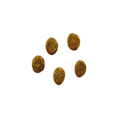 ROBUR GRAIN FREE CHICKEN 30/15